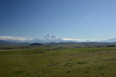 DSC_1056 (Large).JPG